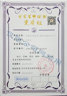 公司證書