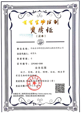 公司證書